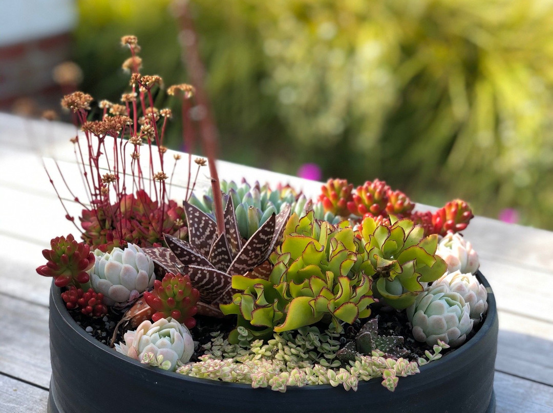 Brae Guest Suites主图