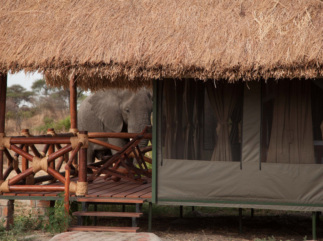 Tarangire Simba Lodge
