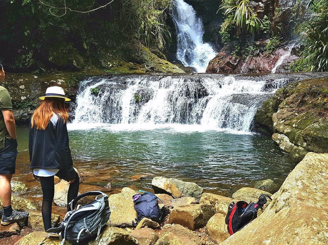 Rainforest Tours Australia-黄金海岸必去景点