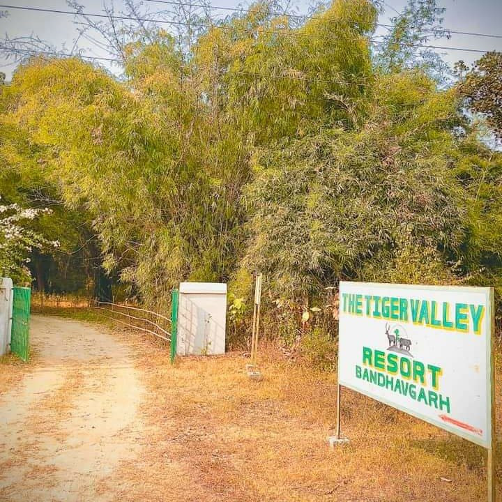 The Tiger Valley Resort主图