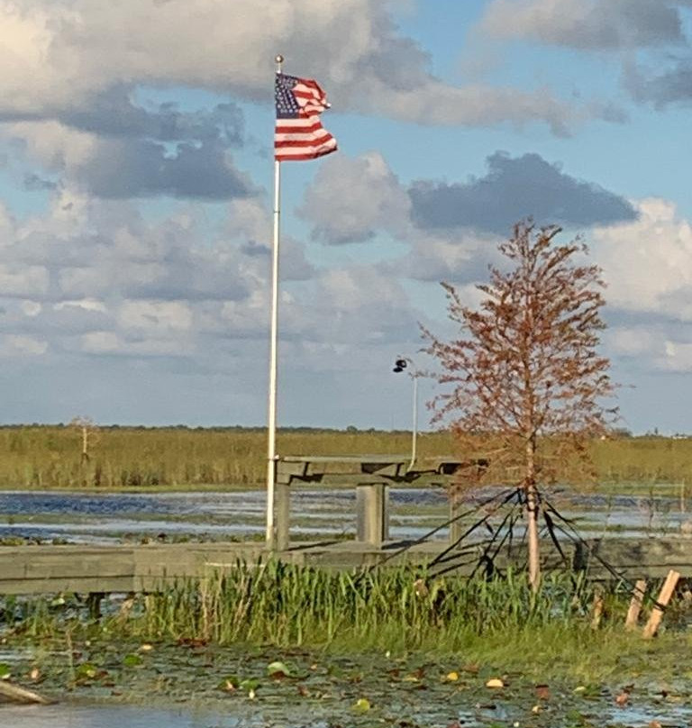Airboat Ride West Palm Beach-西棕榈滩必去景点