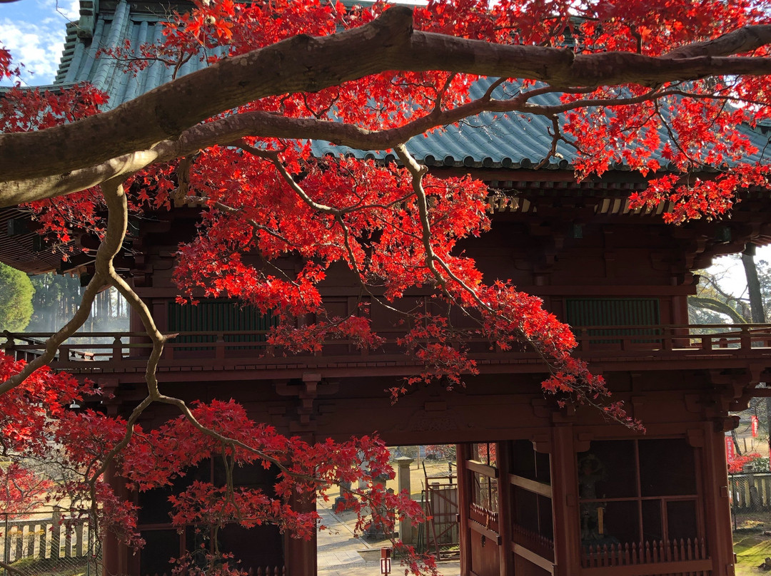 Kanozan Jinyaji-君津市必去景点