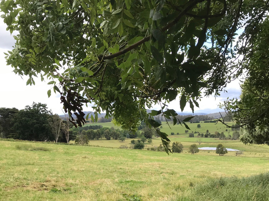St James Anglican Church-Jindivick必去景点