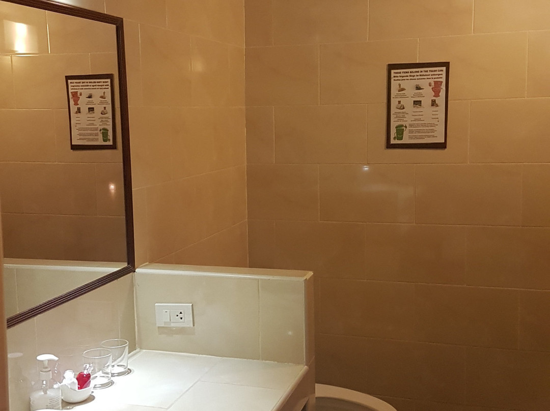 Lucky Gecko Garden主图