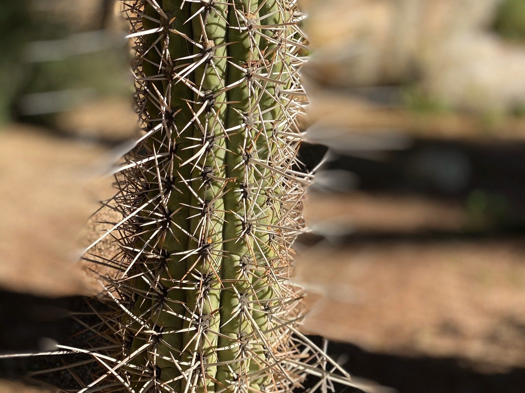 Refugio Misterios Del Elqui主图