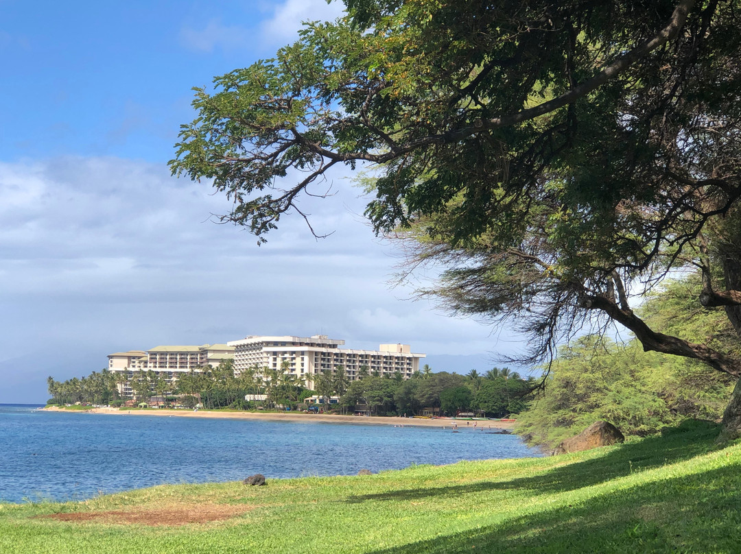 Hanakao'o Beach Park-拉海纳必去景点