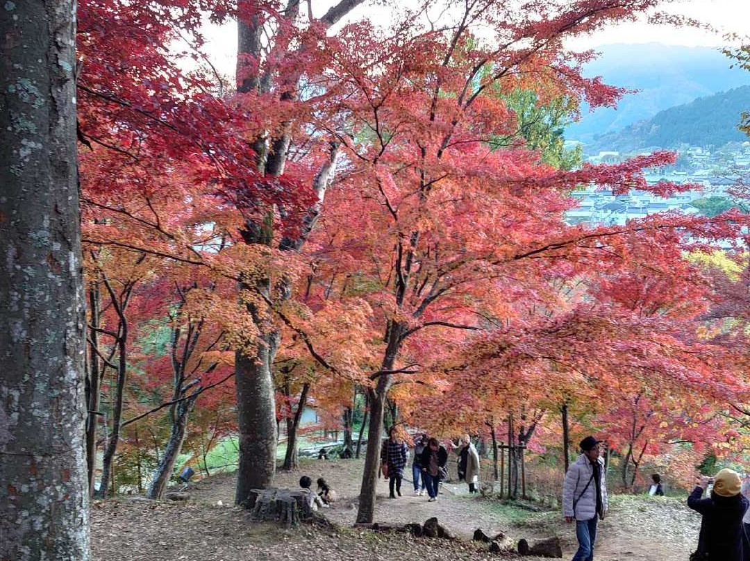 Saijosan Park Momiji Yama景点图片