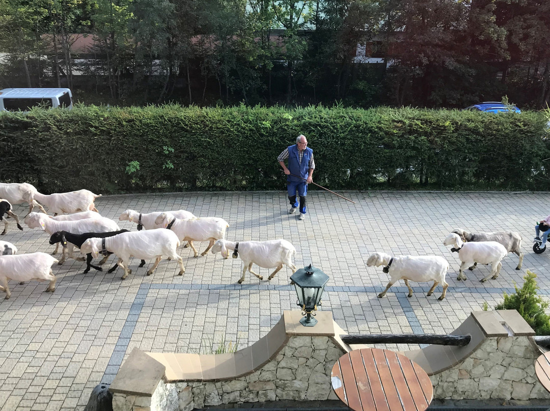 Zum Schweizerbartl主图