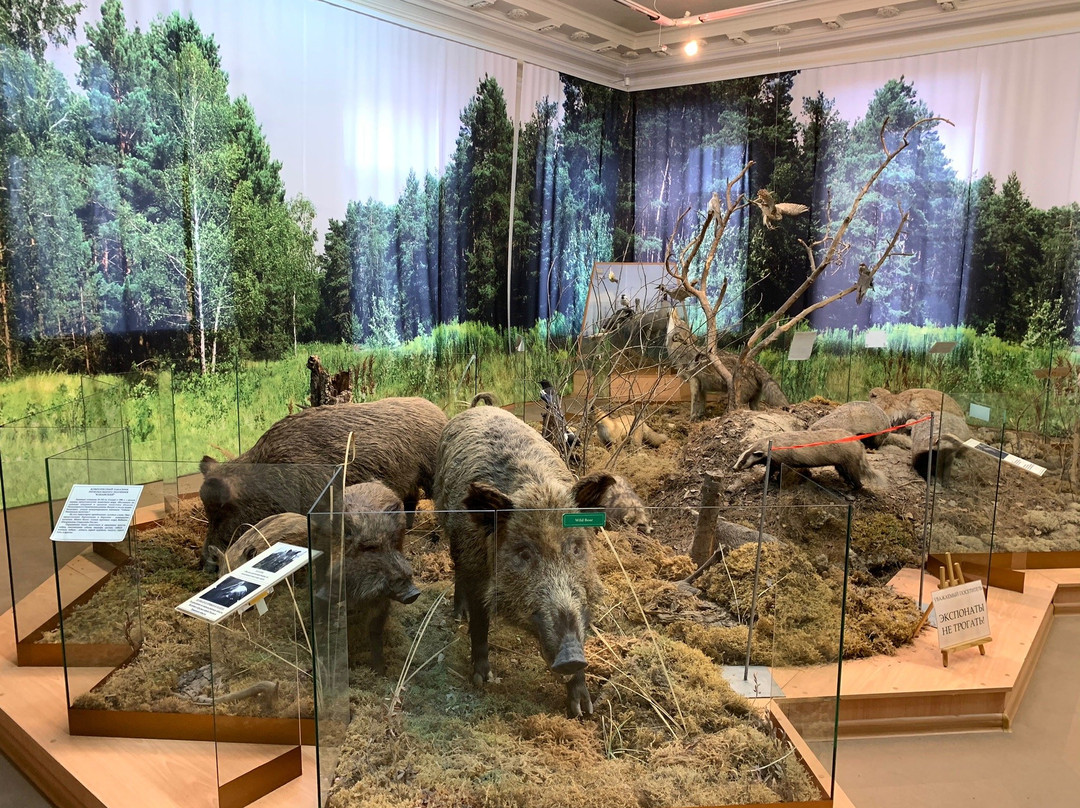 City Council Local History Museum-秋明必去景点