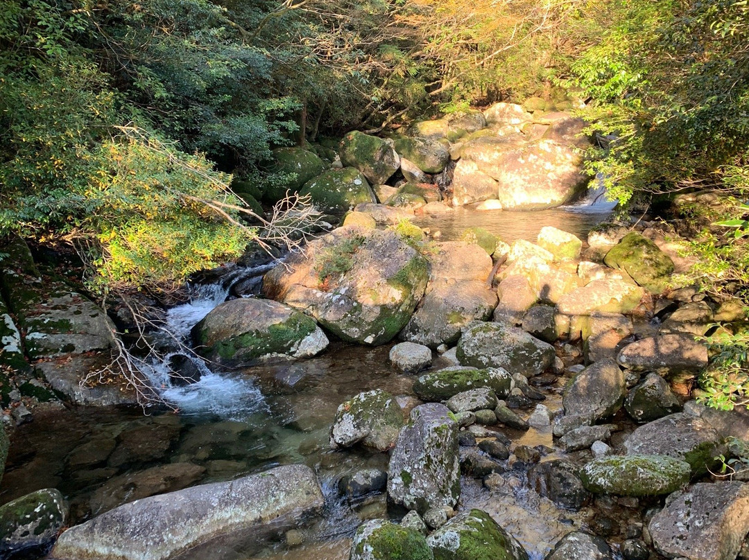 Jomonsugi景点图片