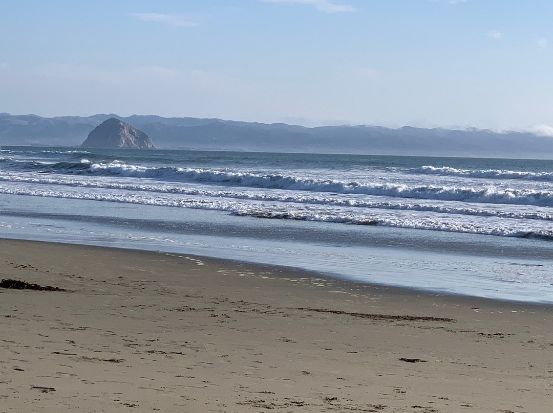 The Cayucos Motel主图