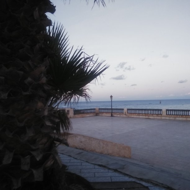 Destination Touristique Algerie景点图片