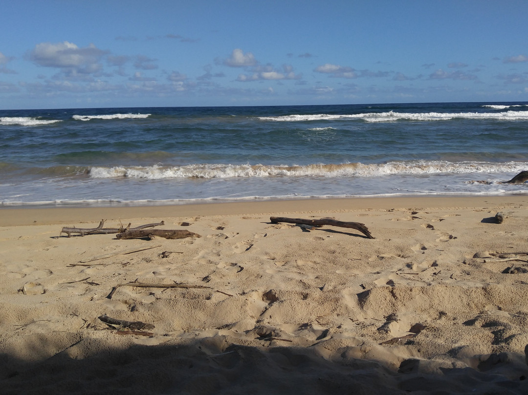 Wailua Beach-Wailua必去景点