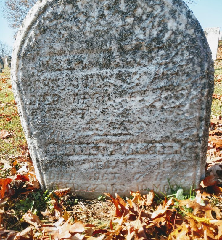 Historic Brush Creek Cemetery景点图片