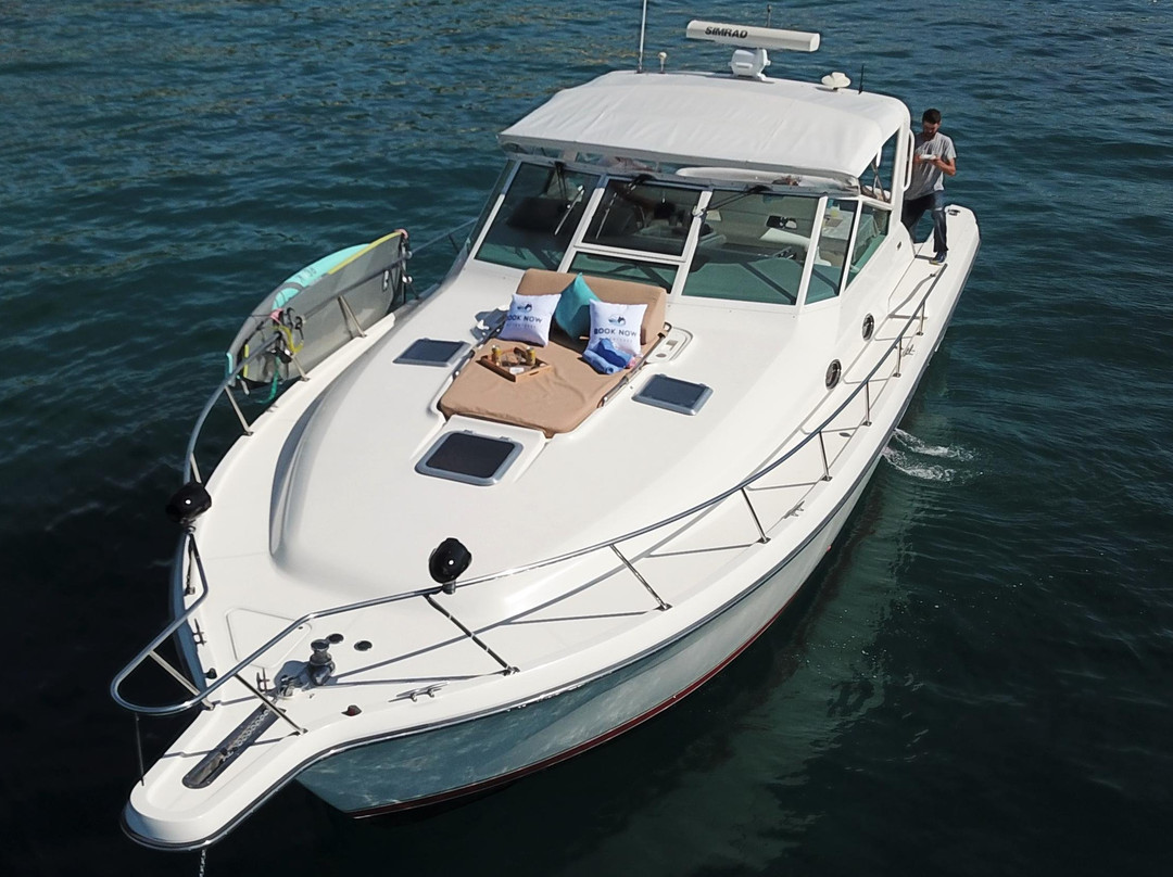 Book Now Adventures-卡波圣卢卡斯必去景点