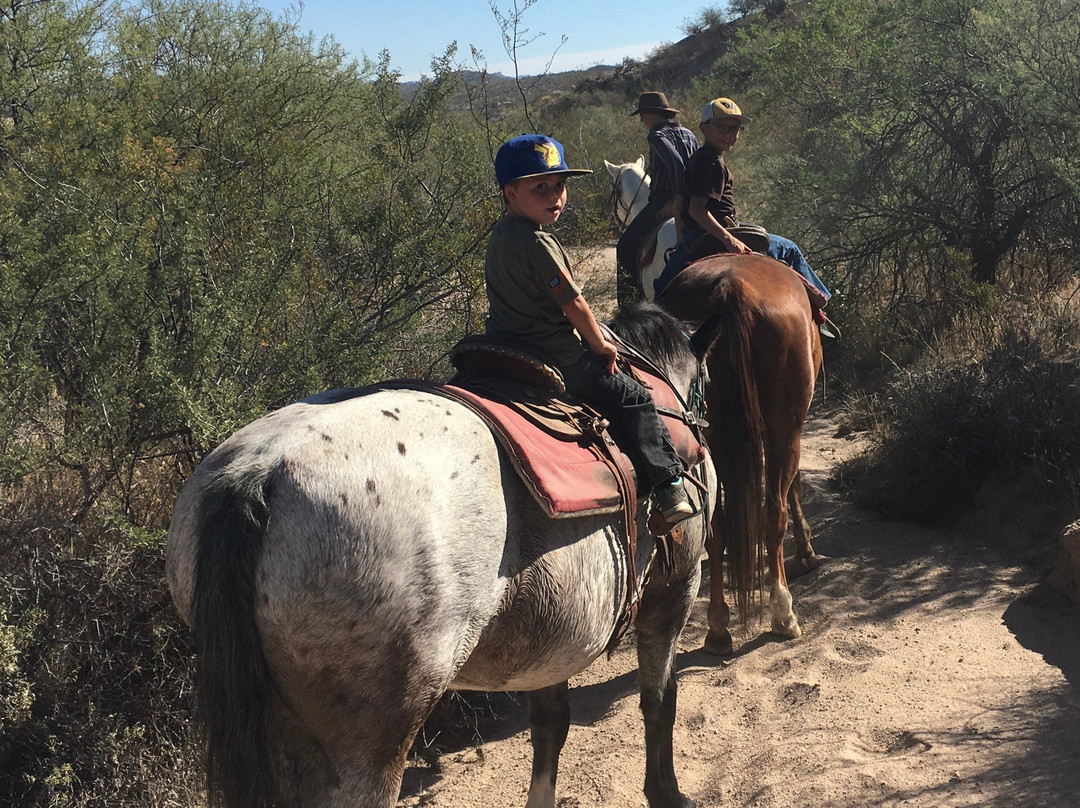Arizona Horse Company-Wickenburg必去景点
