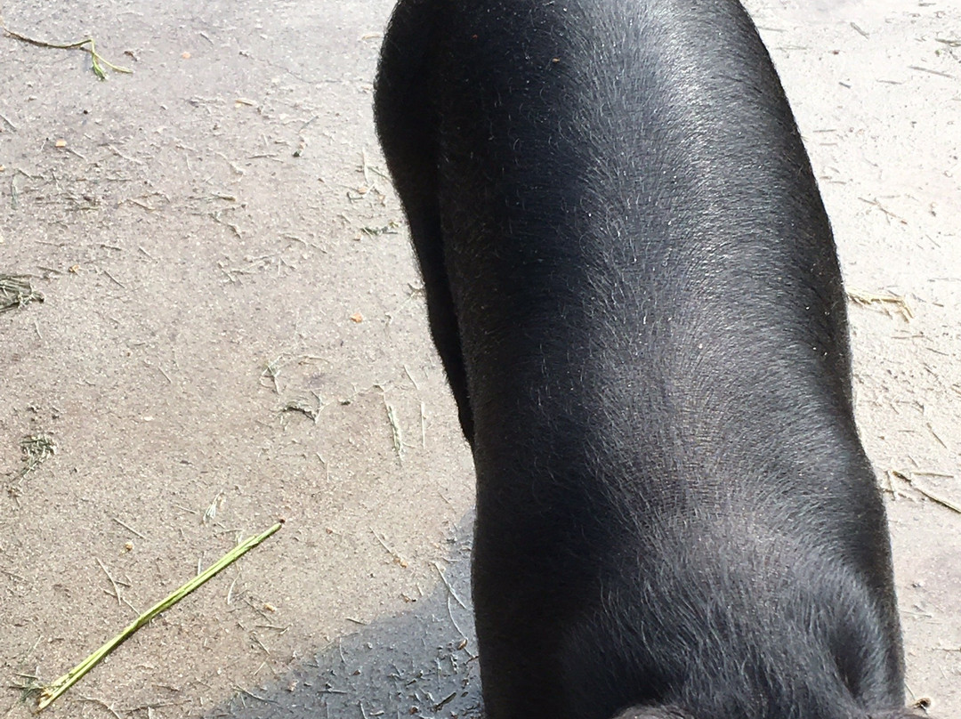 The Benedictine Monks ofWeston Priory-Weston必去景点