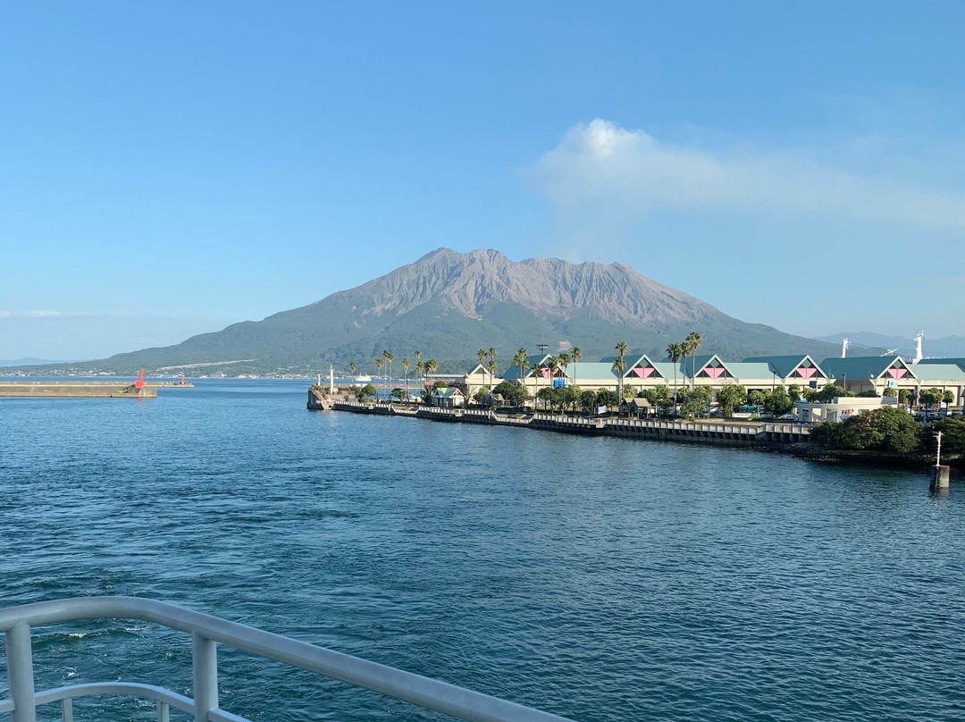 Sakurajima Nature Dinosaur Park景点图片