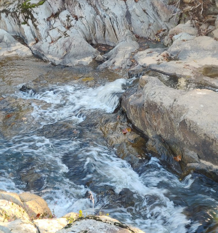 Richland Creek Canopy Tours景点图片