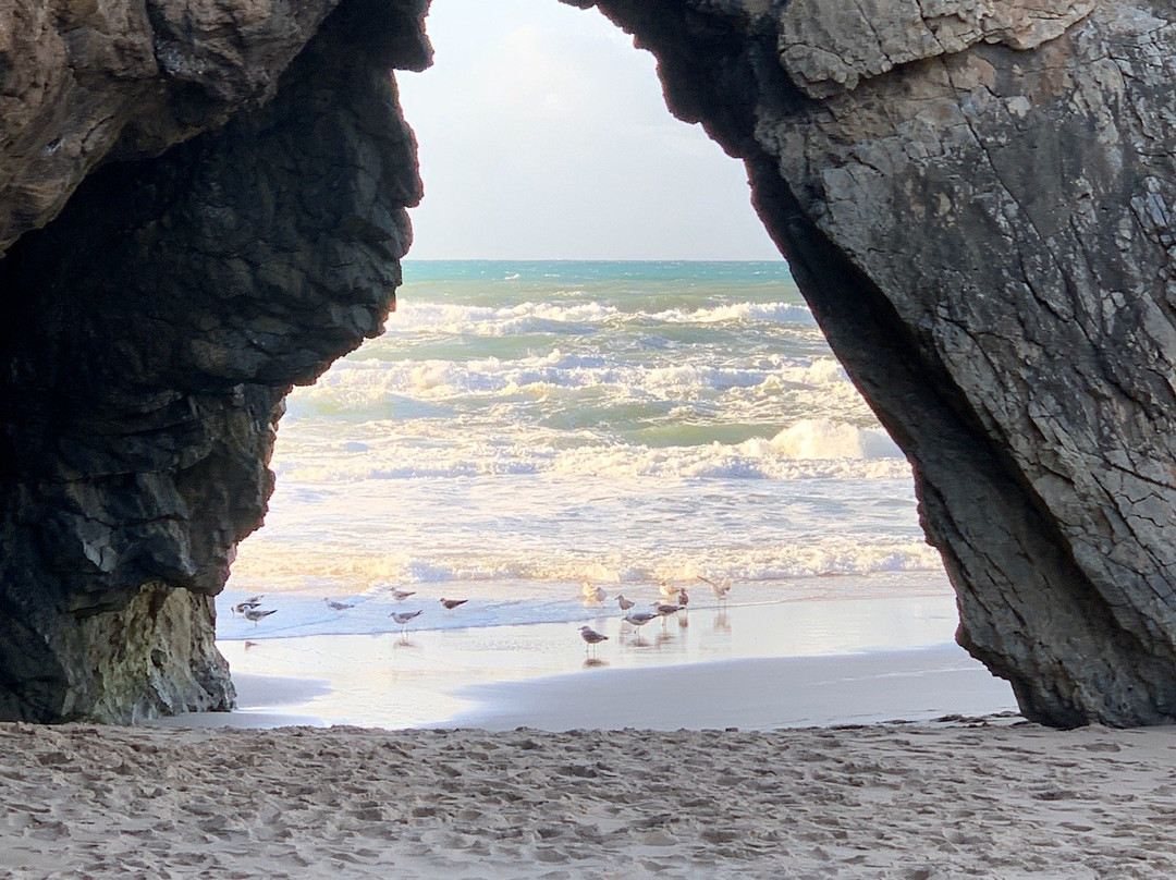 Sintra Globus-里斯本必去景点