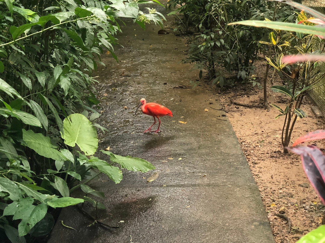 Majin No Tsubo主图