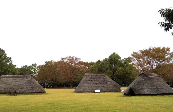 Mizuko Kaizuka Park-富士见市必去景点