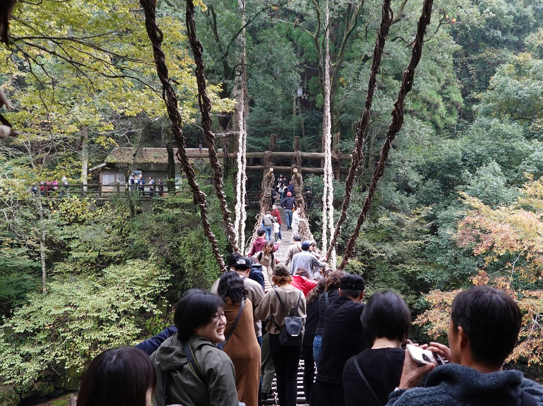 祖谷葛藤桥-三好市必去景点