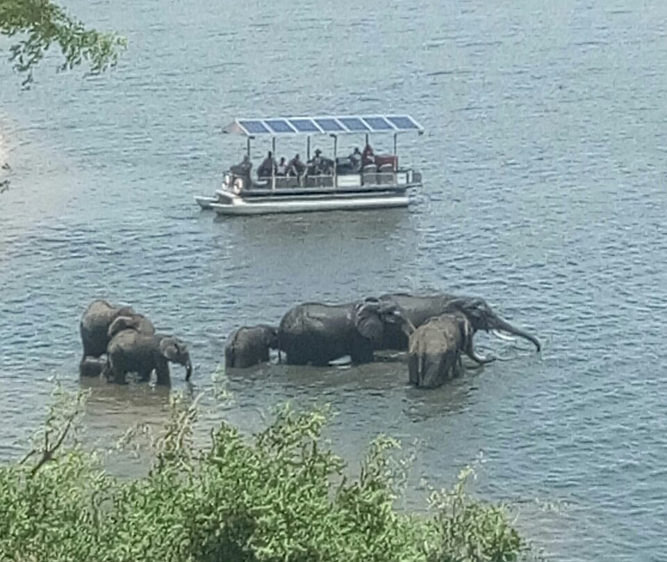 Arnolubi Safaris & Tours-李文斯顿必去景点