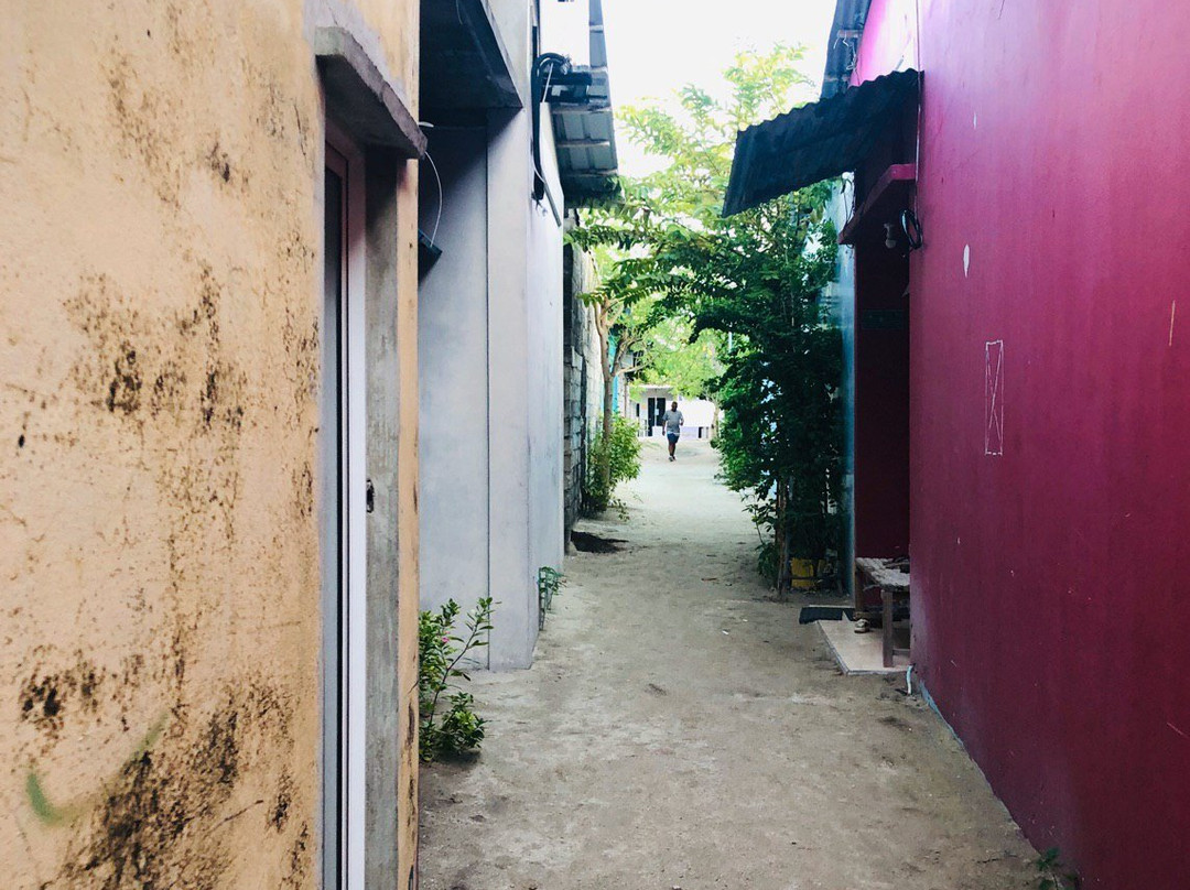 Coco Cottage Local Style - Maldives主图