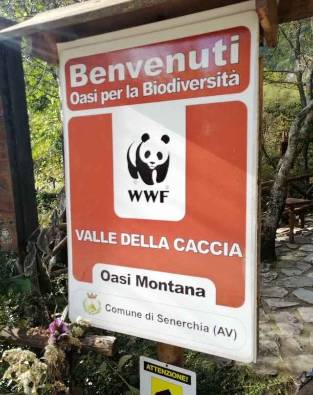 Oasi Wwf Valle della Caccia-Senerchia必去景点