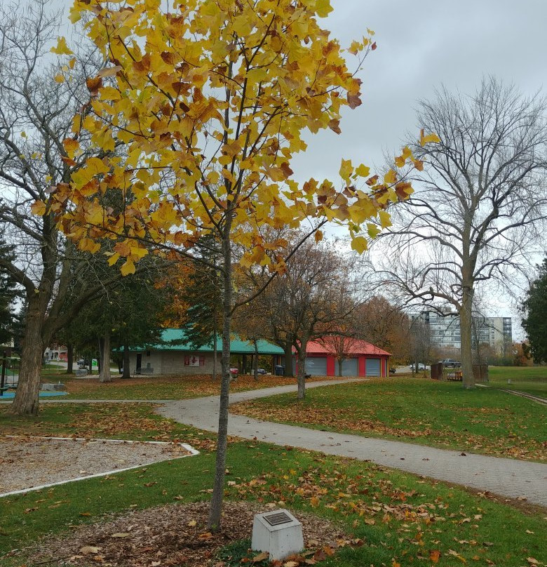 Riverside Park-贵湖必去景点