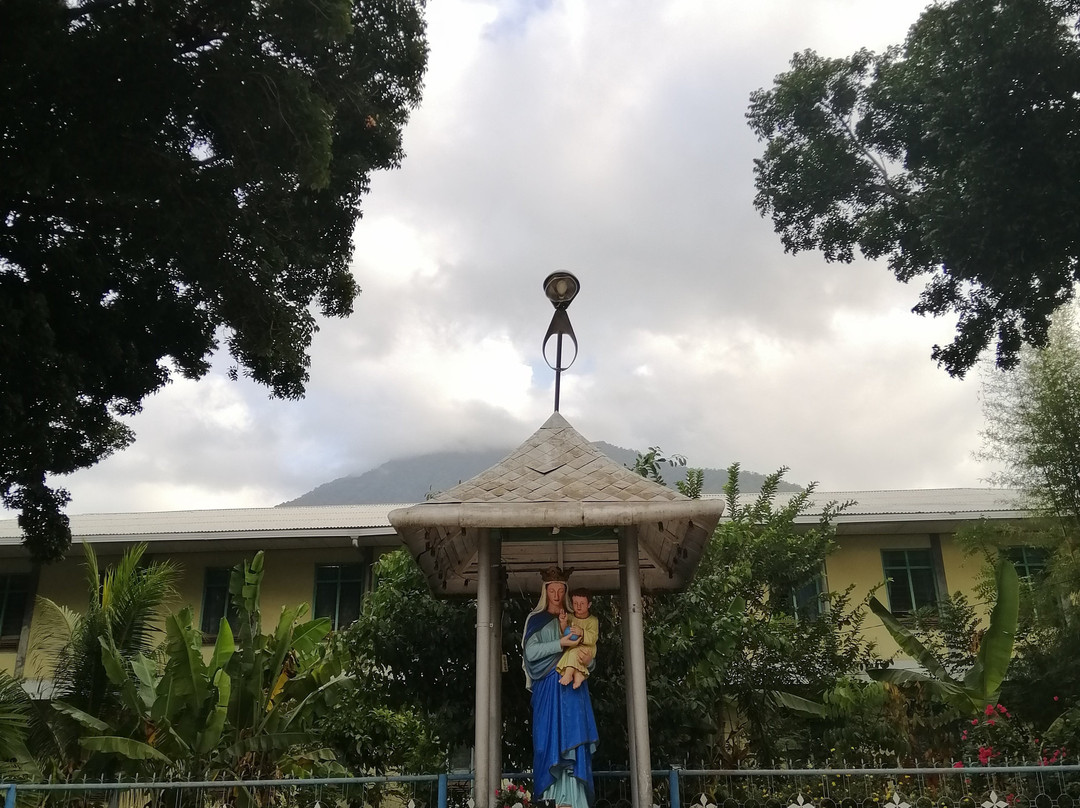 Reinha Rosary Cathedral Church景点图片