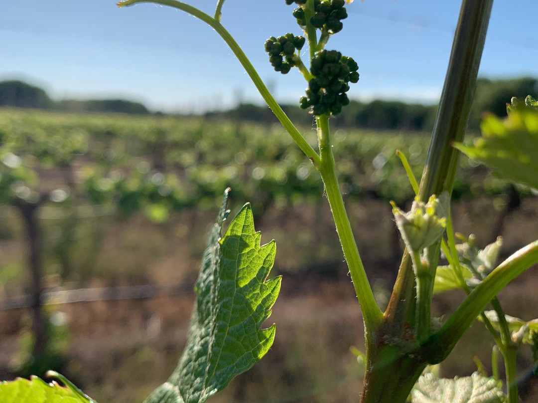丰市长度假酒店主图