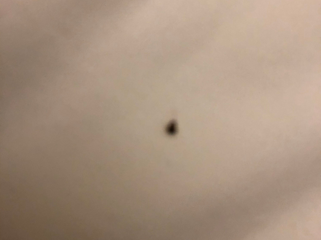 Clarion Pointe Kimball主图