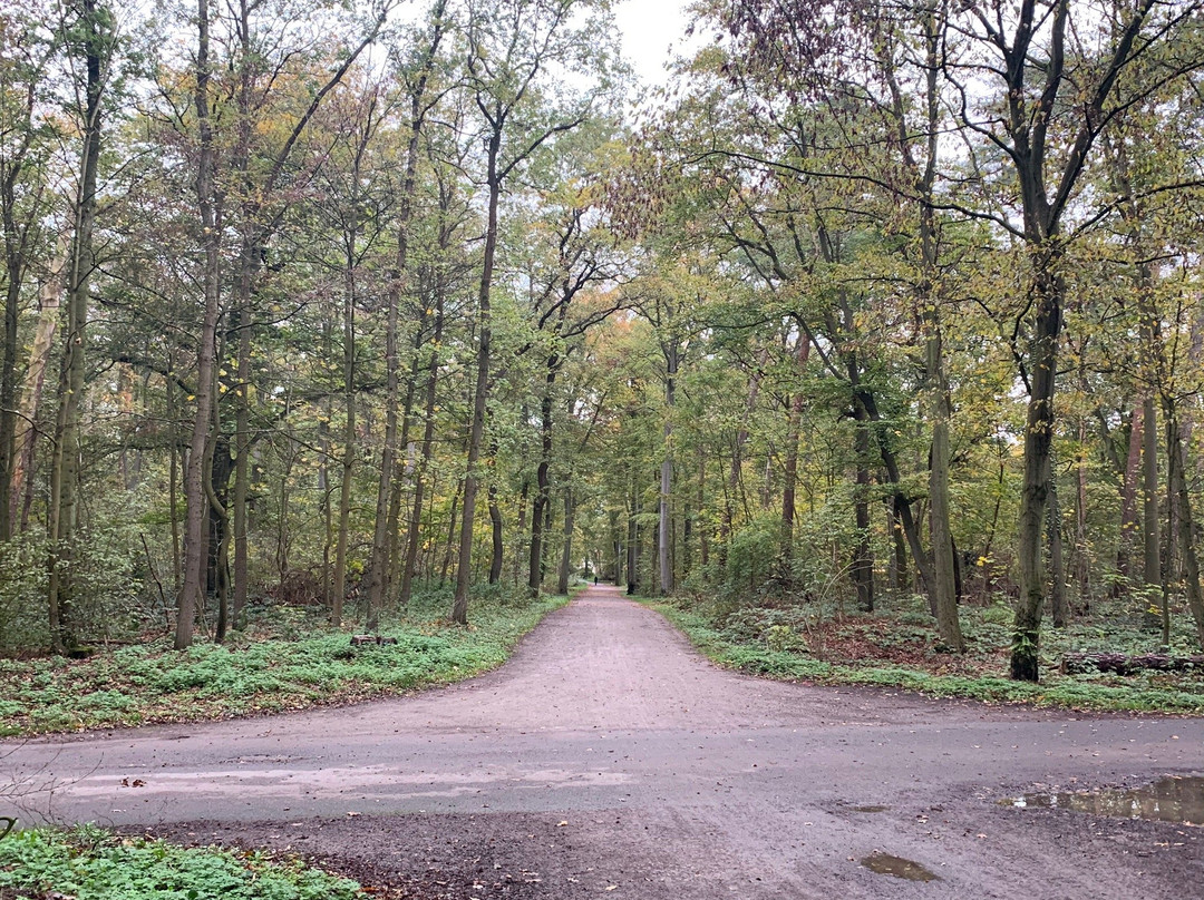 Eilenriede - Park景点图片