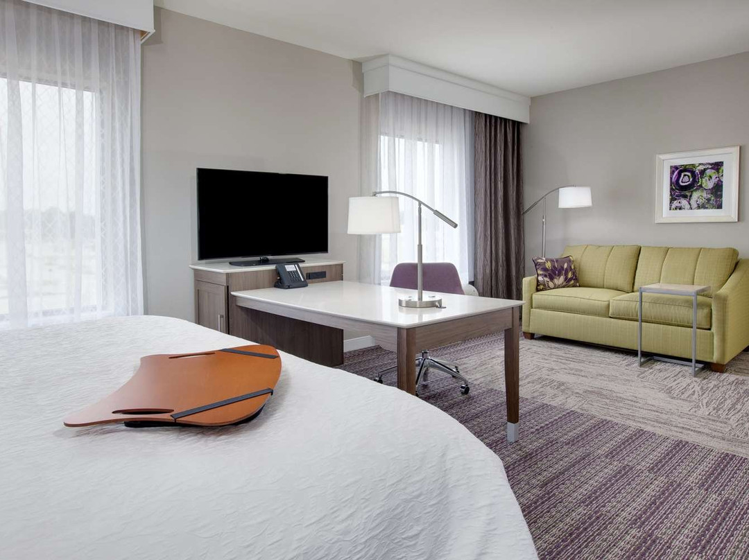 Hampton Inn & Suites Tyler-South主图