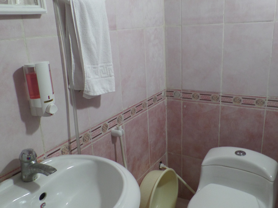 Shushtar Traditional Hotel(Sarabi Hotel)主图