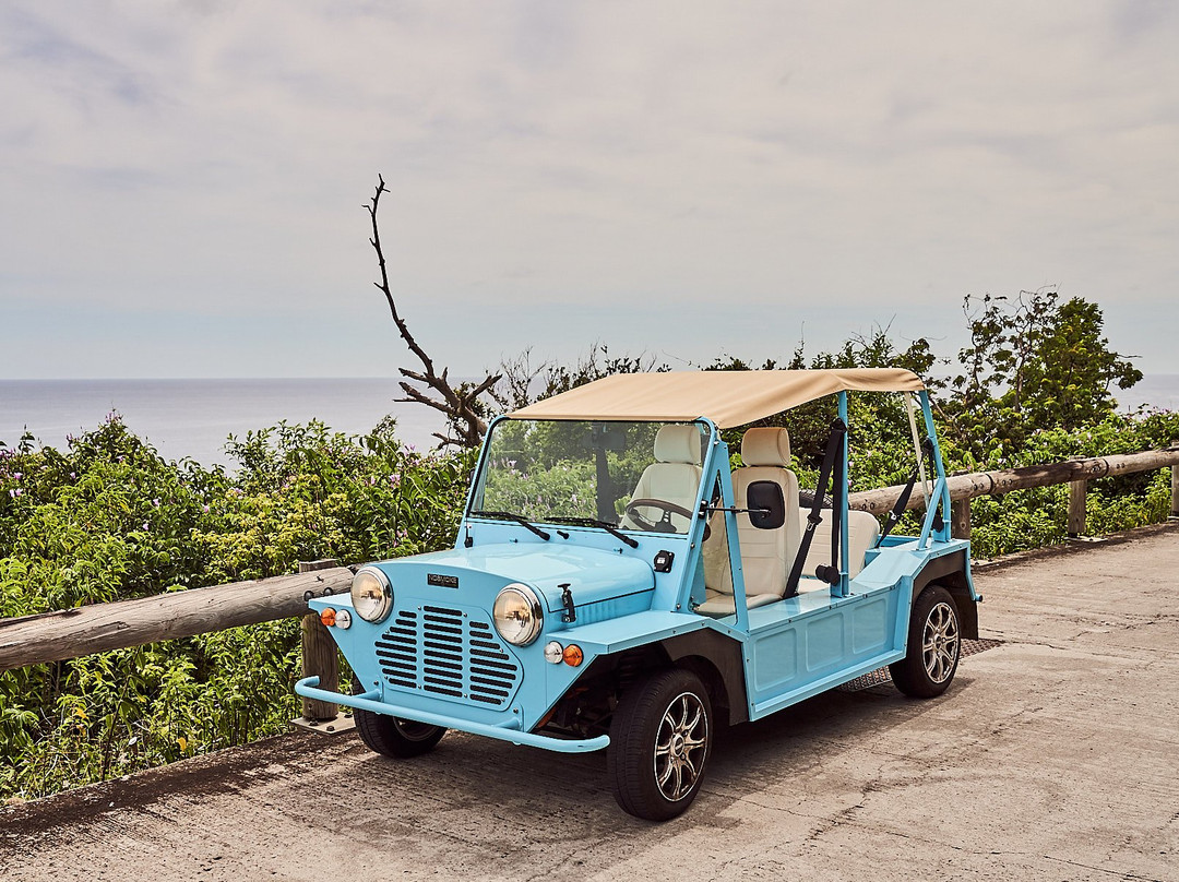 Iguana Locations-Terre-de-Bas必去景点