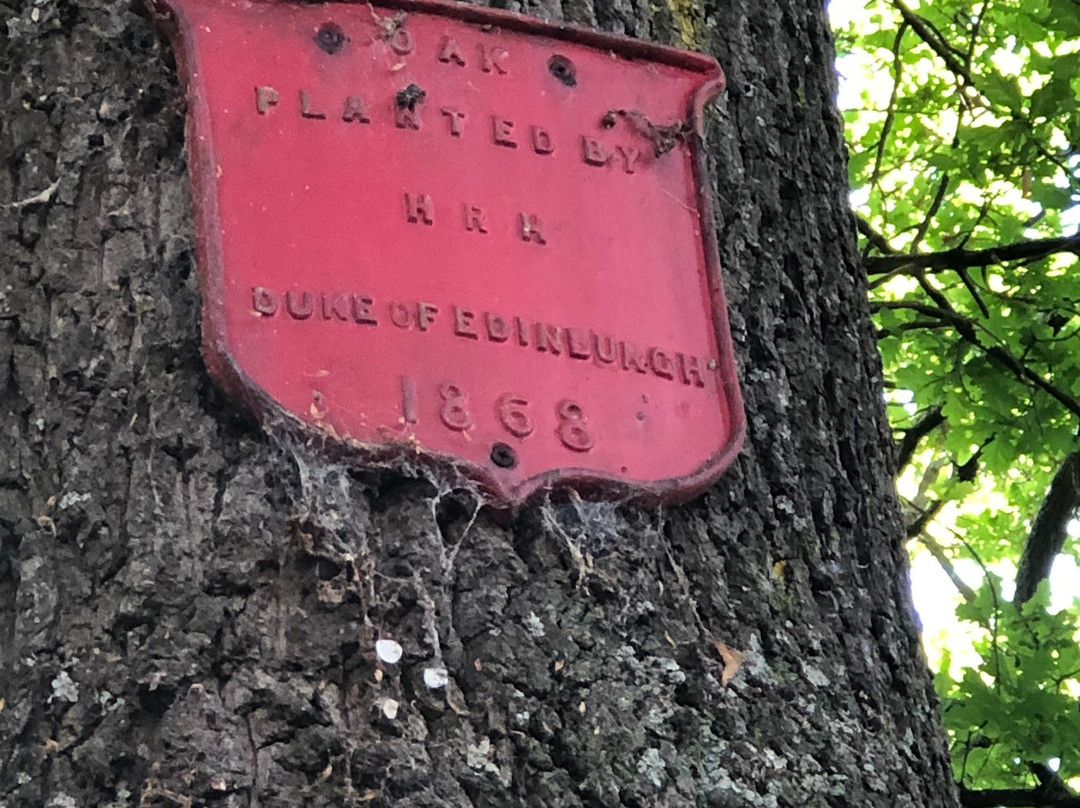 Prince's Square-朗塞斯顿必去景点