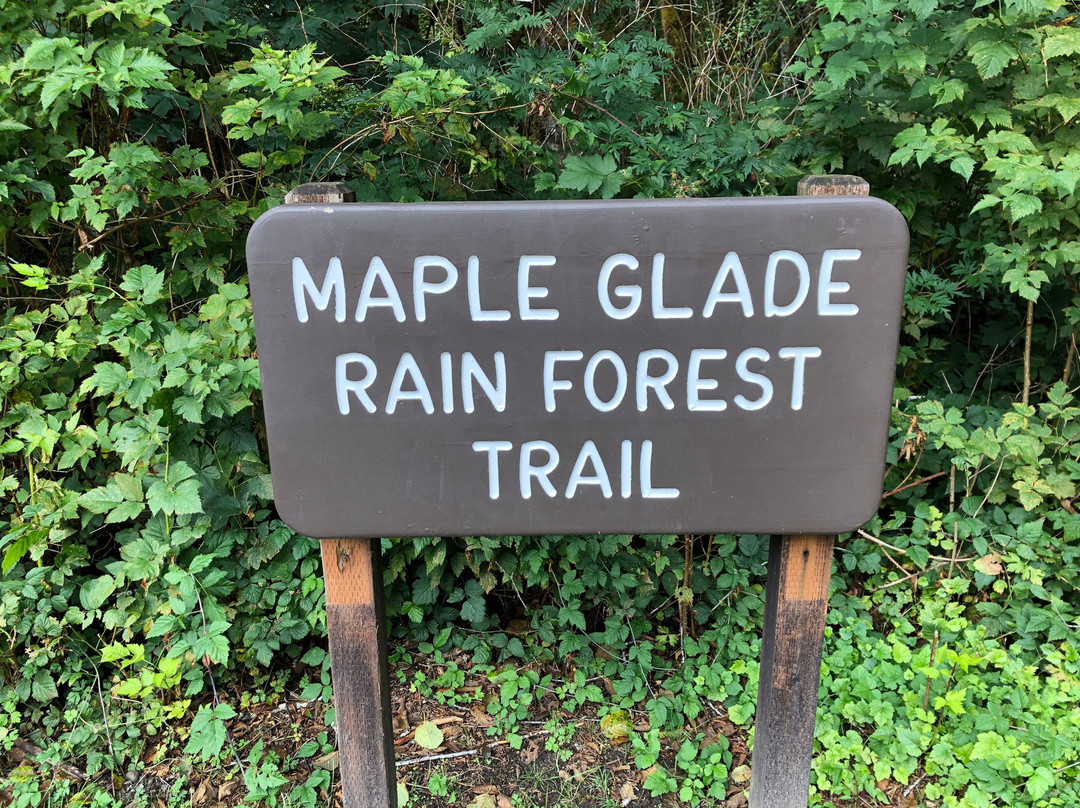 Maple Glade Rain Forest Trail景点图片
