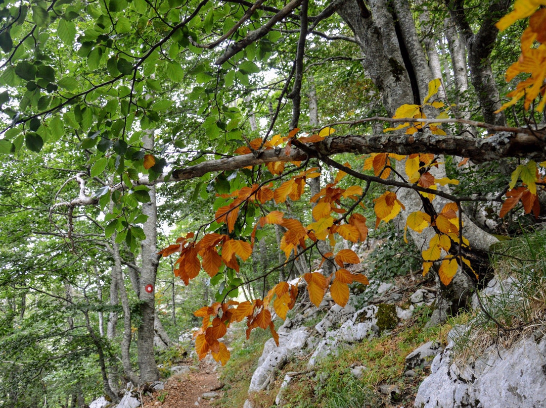 Northern Velebit National Park景点图片
