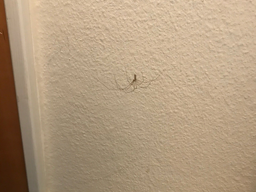 Blommenslyst Kro主图