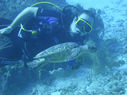 Cayman Diving-七哩滩必去景点
