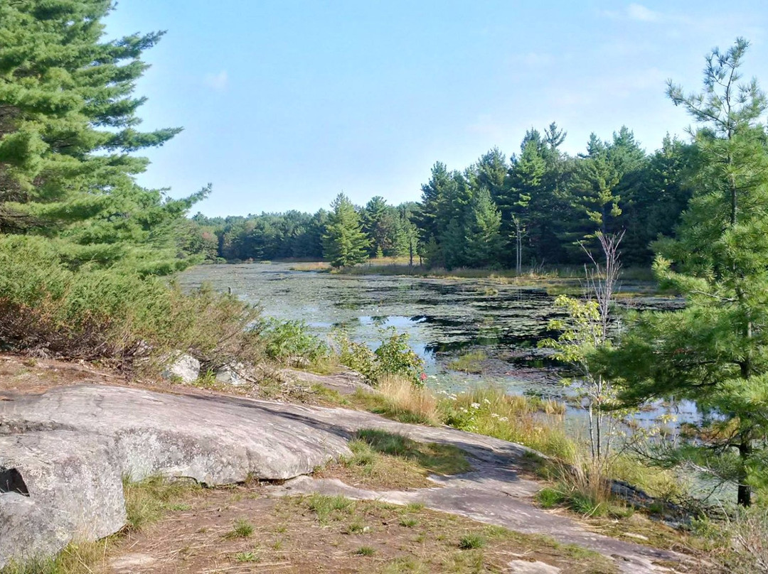 Six Mile Lake Provincial Park景点图片