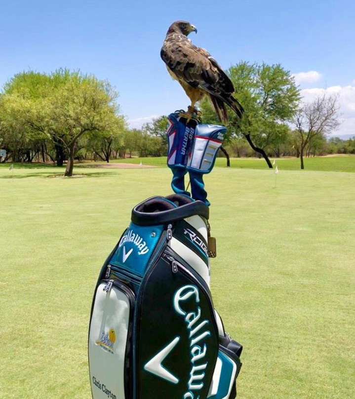 Zebula Golf Course-贝拉贝拉必去景点