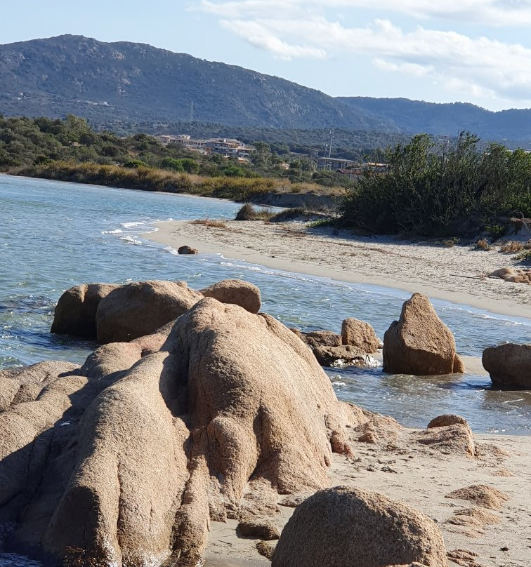 Spiaggia Saline-奥尔比亚必去景点