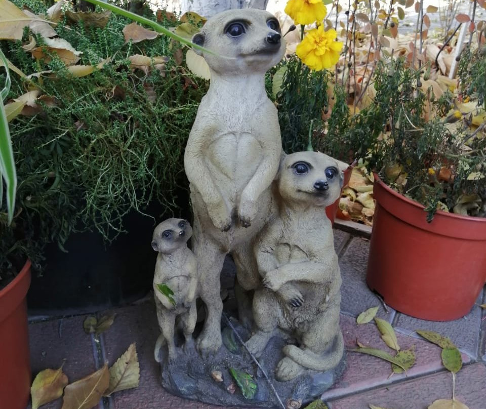 Dream Gardens Park景点图片