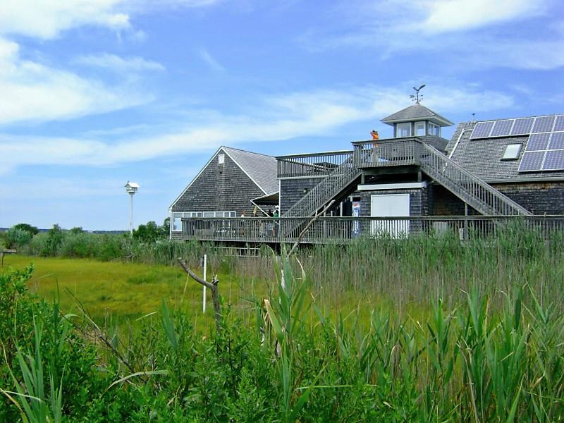 The Wetlands Institute景点图片