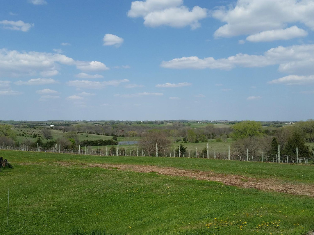 Wahoo旅游景点-WindCrest Winery