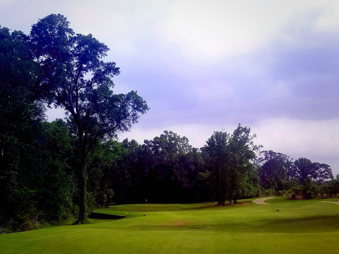 Black Bear Golf Club景点图片